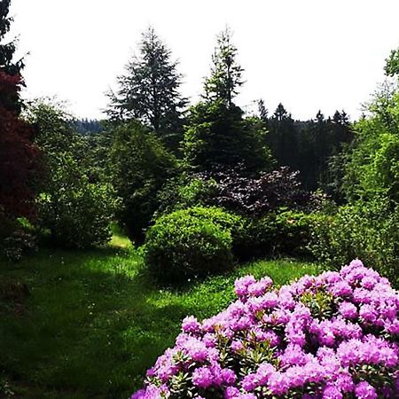 Green Corner Nuerburg מראה חיצוני תמונה